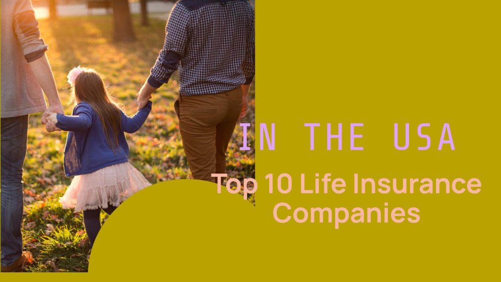 10 Biggest life Insurance Companies in Usa